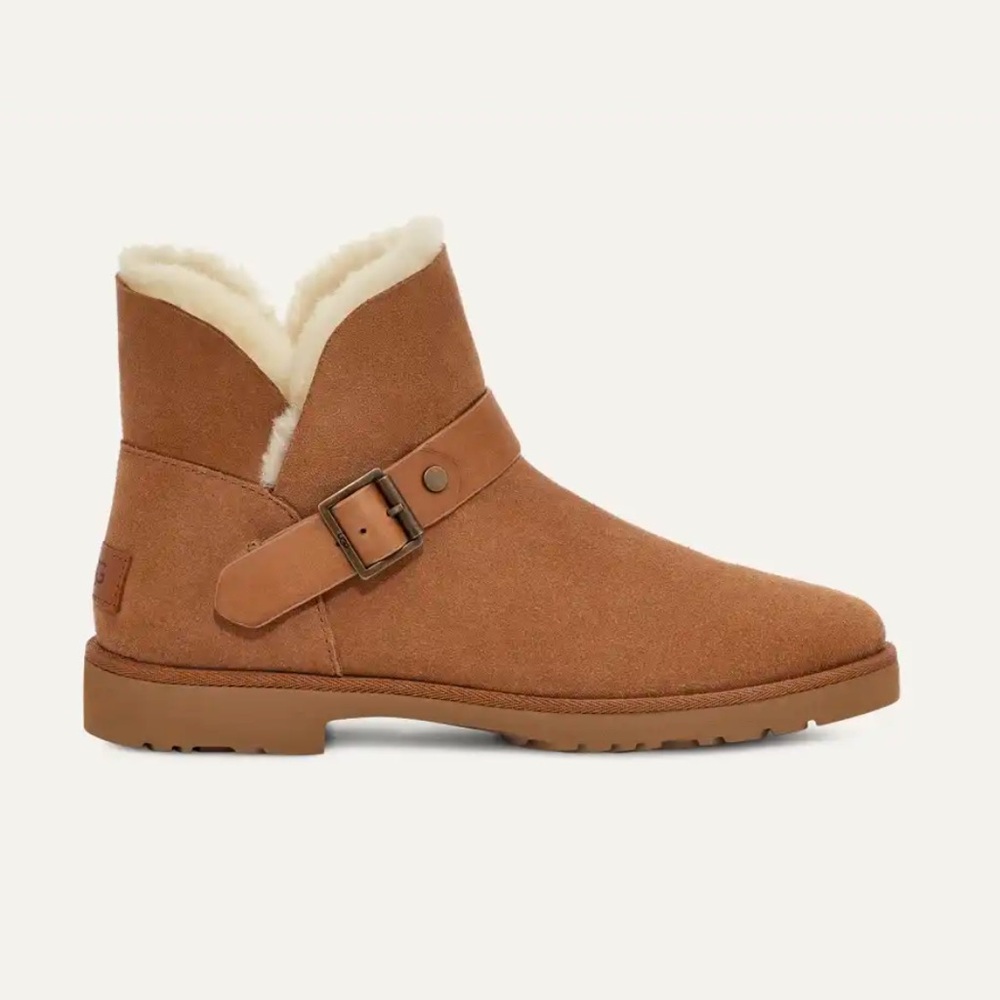 🐪 NEW IN BOX🐪 Ugg Romely Short Buckle